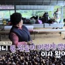 산골마을 민박 이미지