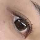 다온프라자 | 인천 서구 속눈썹펌맛집#다온래쉬_무보정 비교샷 첨부❤️