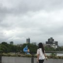 [공지] [ 후쿠오카 국립미술관 장미쉘 작품 후기 ]