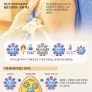 그냥 심심해서요. (51369) mRNA 독감 백신 이미지
