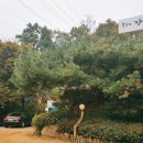 온누리직업소개소