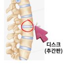 퍼펙트짐#2 이미지