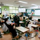 펫(PET)과 함께 이미지