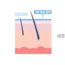 블루마린 이미지