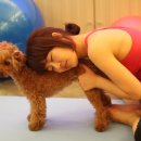 요가교실_오후 이미지