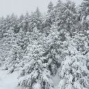 샘터목장 이미지