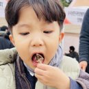 리즈파마