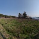 치상농장 이미지