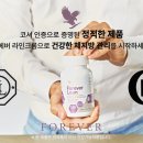 포에버코리아(유)