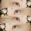 바비뷰티(바비속눈썹)