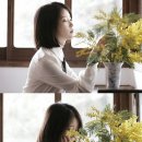 밤편지