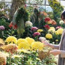 For Some - 이미지