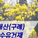 수유농원 네이버블로그