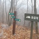 팔공산왕건길 1코스 이미지