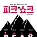 케이지모빌리티 수성서비스프라자 | 피크 쇼크
