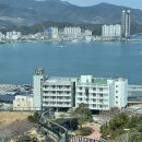 완도타워 | 완도 가볼만한곳! 완도타워 모노레일 왕복요금·운행시간·할인까지 한눈에