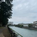 오키나와 뚜벅이 2일차 (1) - 와따오키나와 케라마제도 겨울 스노쿨링 투어 내돈내산 후기
