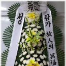대성식물병원 이미지