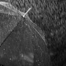 경기도 수원시 팔달구 인계로68번길 6 (인계동) 이미지