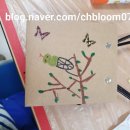 나비 한살이 이미지