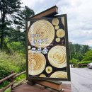 숲으로 가는 길 | 가평 잣나무 숲길 잣향기푸른숲 코스 주차 피톤치드 축령산 힐링 산책 무장애나눔길 소요시간