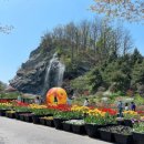 영인면 아산온천로 이미지