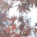 이굿치과의원 이미지