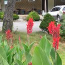 정자가든식당 이미지