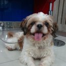 동글동글 이미지