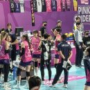 월드유도체육관 | 정관장 vs 흥국생명 여자배구 원정석 직관 후기