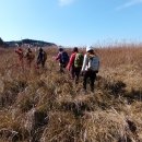 새만금바람길 이미지