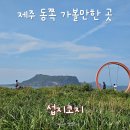 협자연대 | 제주 섭지코지 산책 코스 추천 및 소요 시간 6월 방문 후기 (feat. 휘닉스파크 산책)