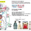 궁을 천부경 49 -천부경과 다시개벽-오만년운수_법신(체) 보신-화신(용)의 삼신변화 체용관계_윤신포태되어 아기아들 탄생하니 이재궁궁 이미지