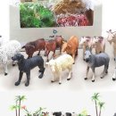 원토농장 이미지