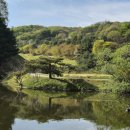 무지개클럽 | 용인컨트리클럽, 26년 4월16일 오후3시 노캐디, 10만5천원 내돈내산 솔직후기