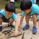 유아동네숲터 이미지