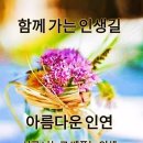 정성의료기상사 Daum카페