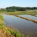 달뱅이농장 이미지