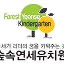 숲속연세유치원 네이버블로그