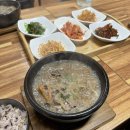 오랑우탄의 일상