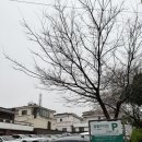 장수물공원 이미지