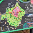 숲 | 부산 야경 명소 우암동 도시숲 5월 방문후기 (주차꿀팁)