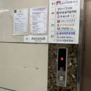 햇빛카클리닉 | 강변역 미용실 추천 카나토클리닉 후기 에이바헤어 강변점