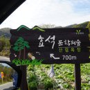 메밀꽃필무렵 이미지