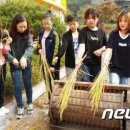 대덕초등학교도룡분교 이미지