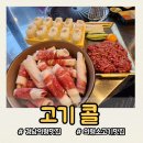 고기콜 | [경남 의령 맛집] 고기콜: 선홍빛 육회와 고소한 차돌박이의 환상적인 만남