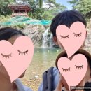 [상주 여행] 경북 상주 물놀이 명소, 장각폭포 후기(feat. 경북 계곡)