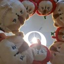 치과병원 2층 로비 화장실 | [서울/신촌] 치과 미루다 결국,,, 신촌 잎사귀치과 사랑니 발치 후기