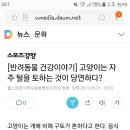 고양이는 자주 털을 토하는 것이 당연하다? 이미지