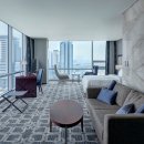 소노캄 고양 이미지